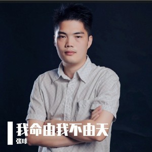 受伤的飞鸟