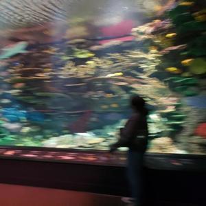 Aquarium (feat. Eli SV) (Explicit)