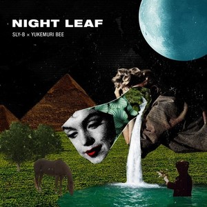 NIGHT LEAF (Explicit)