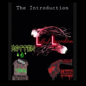 The Introduction (Explicit)