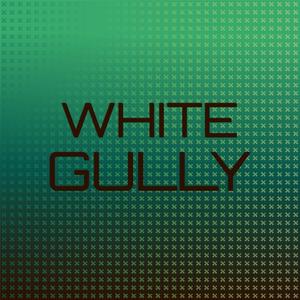 White Gully