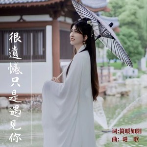 很遗憾只是遇见你 (伴奏)