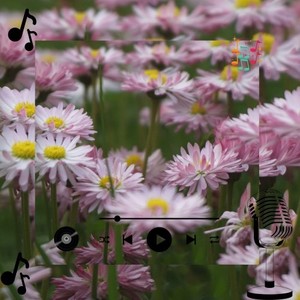 Torlen Zyndor (Original Mix)