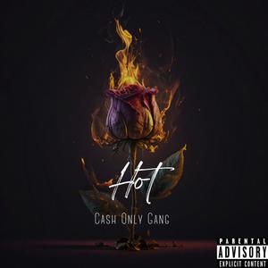 Hot (feat. Ca$h Only Ray) [Explicit]