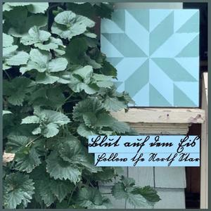 follow the north star