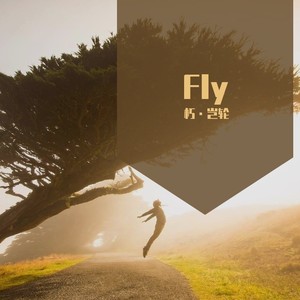 Fly