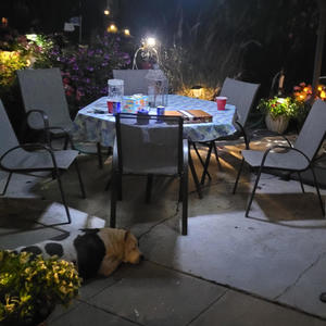 treachery (feat. lil booj & Yokai Dreams) (Explicit)