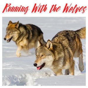 Running With the Wolves(feat. Francois Graiouf, Moe Howard, Cree Patterson, Mario Licata & Josh Jopp)