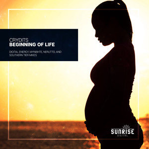 Beginning Of Life (Southern Tier Remix)