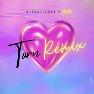 Torn (feat. Yelly) (Remix|Explicit)