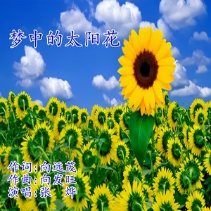 梦中的太阳花 (伴奏)