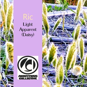 Light Apparent (Daisy)