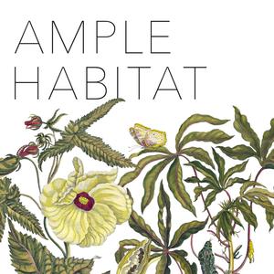 Ample Habitat (feat. Foundling & LesjaMusic)