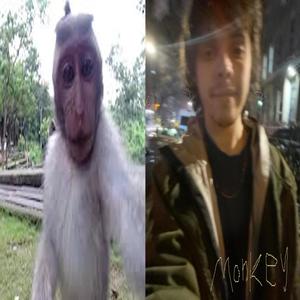 Monkey 4 (ft. 2 Monkey) (feat. Dugan)