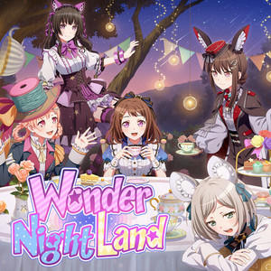 Wonder Night Land