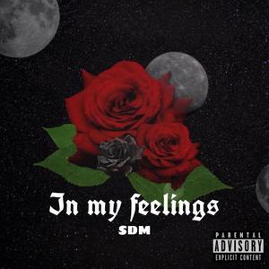 In My Feelings (Explicit)