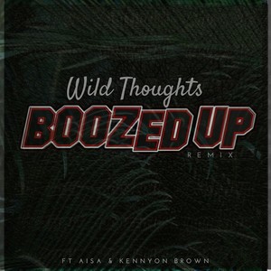 Wild Thoughts (Remix) [feat. Aisa & Kennyon Brown]