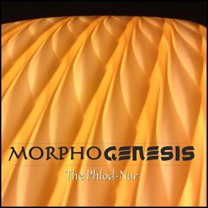 Morphogenesis