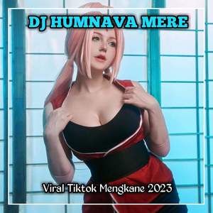 DJ INDIA HUMNAVA MERE FULL BASS (Ins) [Explicit]