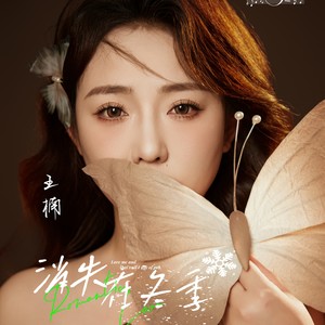 消失在冬季 (伴奏)