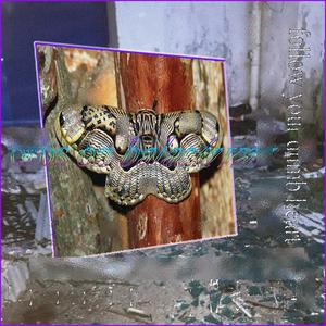 june samples 2020 (orbs+balaclavas)