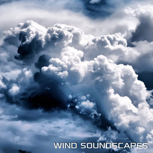 Wind Soundscapes (feat. Discovery Nature Soundscapes)