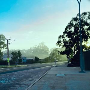 4L3X - What She Needs