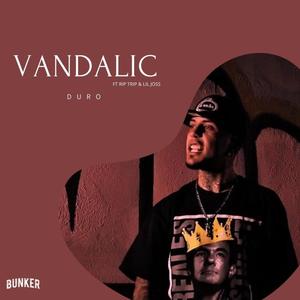 VANDALIC DURO (feat. VANDALIC, RIP TRIP & LIL JOSS) (Explicit)