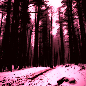 why you fvcking gone?!@# (Explicit)