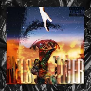 Midnight Affair (Explicit)