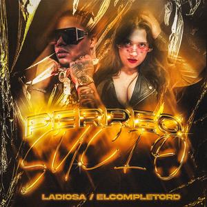 PERREO SUCIO (feat. El Completo RD) (Explicit)
