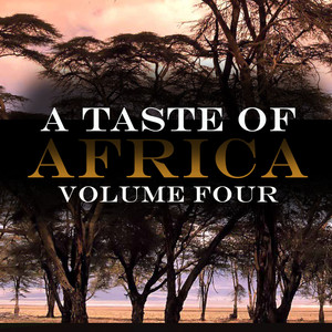 A Taste Of Africa Vol 4