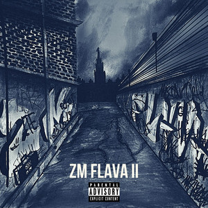 ZM FLAVA II (Explicit)