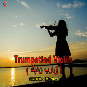 Trumpetted Violin