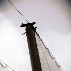 Falling for Creations