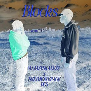 BLOCKS (feat. nottheaveragedes) [Explicit]