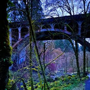 everything falls apart