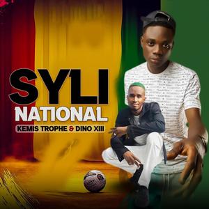 Syli national