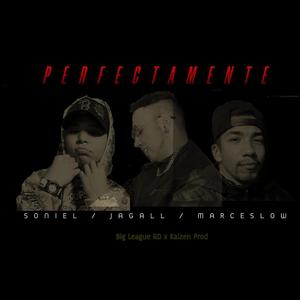 Perfectamente (feat. Soniel & Marce Slow) [Explicit]