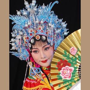 117 潮剧《杨令婆辩本(洪妙)》