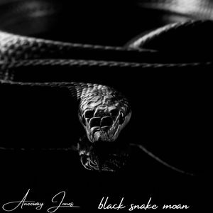 Black Snake Moan (Explicit)