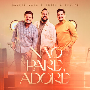 Não Pare, Adore (feat. André e Felipe) (Playback)