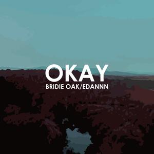 Okay(Bridie Oak) (Edannn Remix)