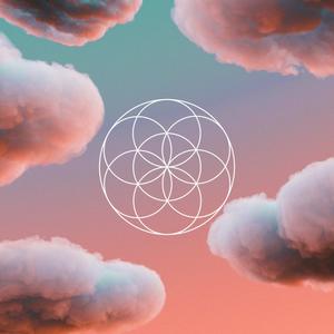 Letters and Flowers (feat. JIN!WA) (Explicit)
