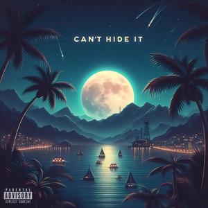 Can't Hide It (Explicit)