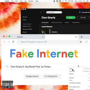 Fake Internet (Explicit)