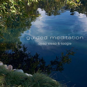 Guided Meditation