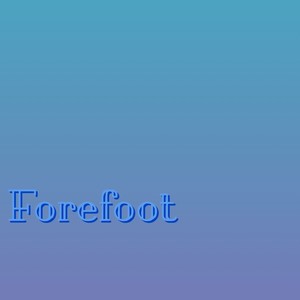 Forefoot