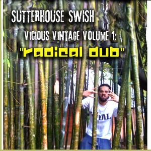 VV Vol.1: RADICAL DUB (Explicit)