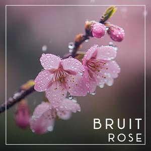 Bruit Rose Sommeil Bébé - Horizon Nocturne Faible